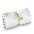 Amazing Maize juniortcke 100x130
